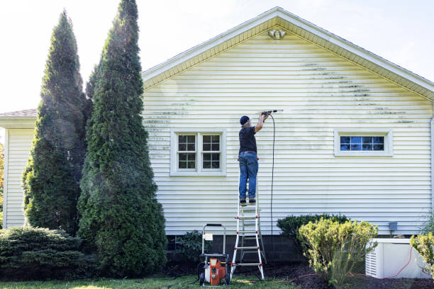 Best Deck Cleaning Services  in Hamtramck, MI