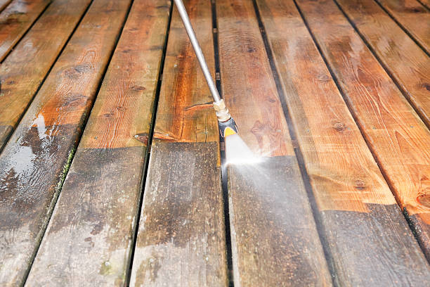 Best Commercial Building Pressure Washing  in Hamtramck, MI